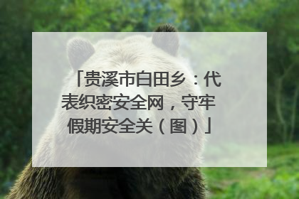 贵溪市白田乡：代表织密安全网，守牢假期安全关（图）