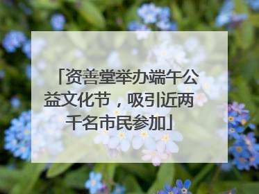 资善堂举办端午公益文化节，吸引近两千名市民参加