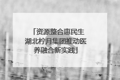 资源整合惠民生 湖北柠月集团推动医养融合新实践
