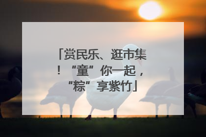 赏民乐、逛市集！“童”你一起，“粽”享紫竹