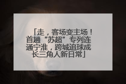 走，客场变主场！首趟“苏超”专列连通宁淮，跨城追球成长三角人新日常