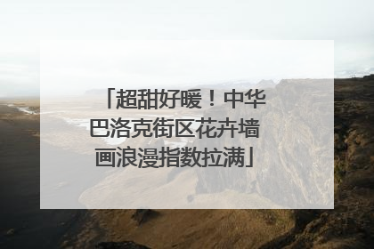 超甜好暖！中华巴洛克街区花卉墙画浪漫指数拉满