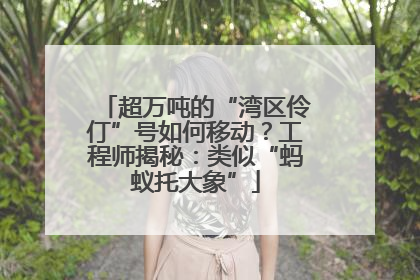 超万吨的“湾区伶仃”号如何移动？工程师揭秘：类似“蚂蚁托大象”