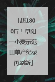 超1800斤！阜阳一小麦示范田单产纪录再刷新
