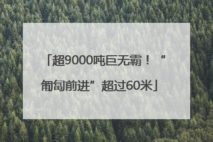超9000吨巨无霸！“匍匐前进”超过60米