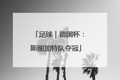 足球｜德国杯：斯图加特队夺冠