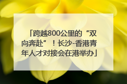 跨越800公里的“双向奔赴”！长沙-香港青年人才对接会在港举办