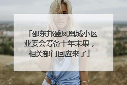 邵东邦盛凤凰城小区业委会筹备十年未果，相关部门回应来了