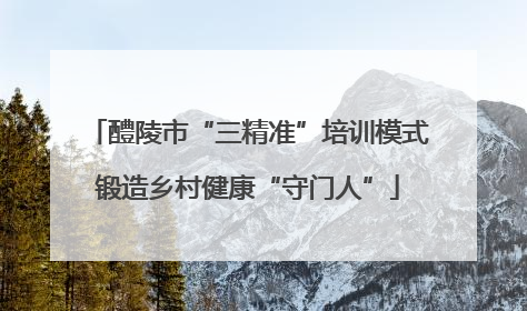 醴陵市“三精准”培训模式锻造乡村健康“守门人”