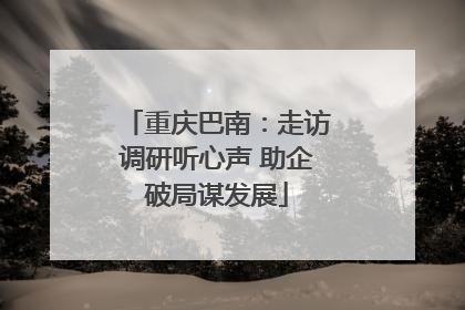 重庆巴南：走访调研听心声 助企破局谋发展