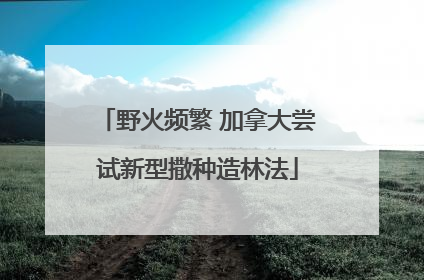 野火频繁 加拿大尝试新型撒种造林法