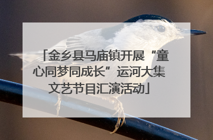 金乡县马庙镇开展“童心同梦同成长”运河大集文艺节目汇演活动