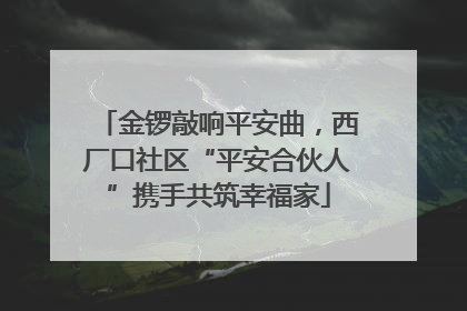 金锣敲响平安曲，西厂口社区“平安合伙人”携手共筑幸福家