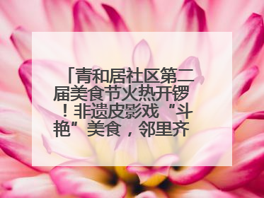 青和居社区第二届美食节火热开锣！非遗皮影戏“斗艳”美食，邻里齐聚“粽”享温情