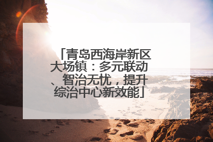 青岛西海岸新区大场镇：多元联动、智治无忧，提升综治中心新效能