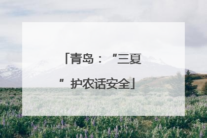 青岛：“三夏”护农话安全