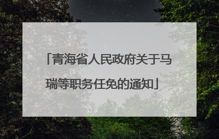 青海省人民政府关于马瑞等职务任免的通知