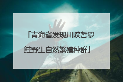 青海省发现川陕哲罗鲑野生自然繁殖种群