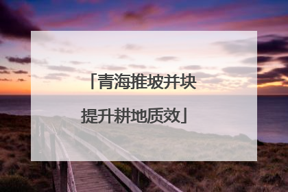 青海推坡并块提升耕地质效