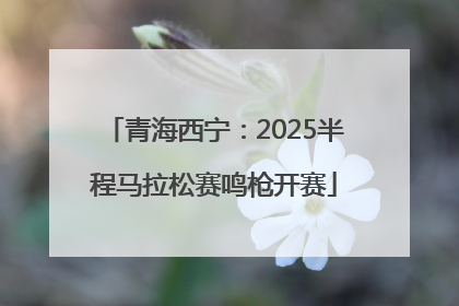 青海西宁：2025半程马拉松赛鸣枪开赛