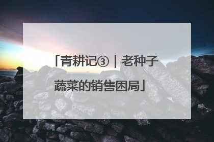 青耕记③｜老种子蔬菜的销售困局