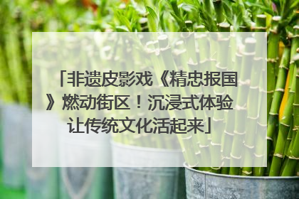 非遗皮影戏《精忠报国》燃动街区！沉浸式体验让传统文化活起来