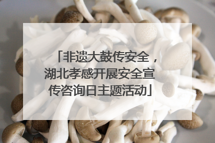 非遗大鼓传安全，湖北孝感开展安全宣传咨询日主题活动