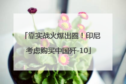 靠实战火爆出圈！印尼考虑购买中国歼-10