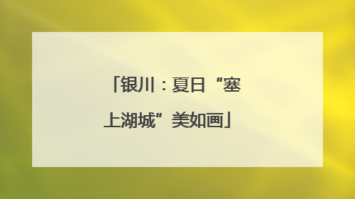 银川：夏日“塞上湖城”美如画
