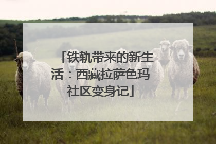 铁轨带来的新生活：西藏拉萨色玛社区变身记