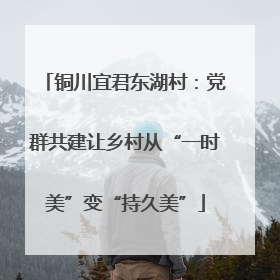 铜川宜君东湖村：党群共建让乡村从“一时美”变“持久美”