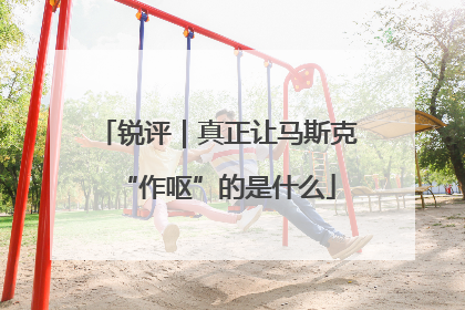 锐评｜真正让马斯克“作呕”的是什么