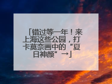 错过等一年！来上海这些公园，打卡莫奈画中的“夏日神颜”→