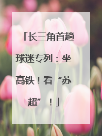 长三角首趟球迷专列：坐高铁！看“苏超”！