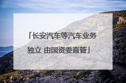 长安汽车等汽车业务独立 由国资委直管