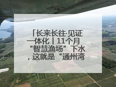 长来长往·见证一体化丨11个月“智慧渔场”下水，这就是“通州湾速度”！