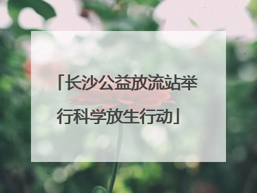 长沙公益放流站举行科学放生行动