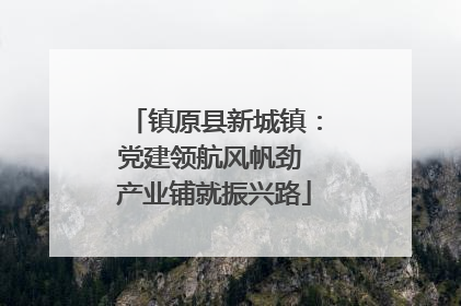镇原县新城镇：党建领航风帆劲 产业铺就振兴路