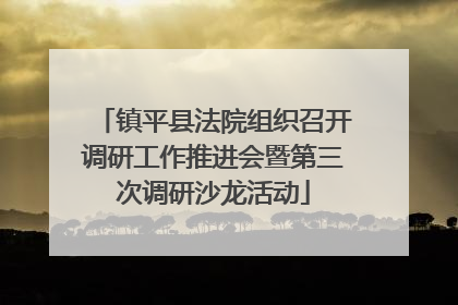 镇平县法院组织召开调研工作推进会暨第三次调研沙龙活动