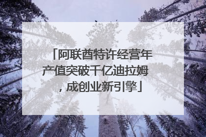 阿联酋特许经营年产值突破千亿迪拉姆，成创业新引擎