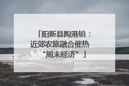 阳新县陶港镇：近郊农旅融合催热“周末经济”