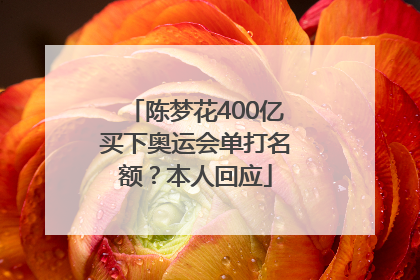陈梦花400亿买下奥运会单打名额？本人回应
