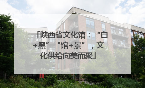 陕西省文化馆：“白+黑”“馆+景”，文化供给向美而聚