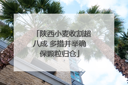 陕西小麦收割超八成 多措并举确保颗粒归仓
