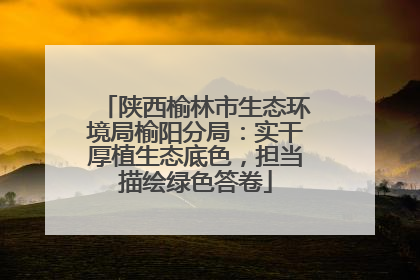 陕西榆林市生态环境局榆阳分局：实干厚植生态底色，担当描绘绿色答卷