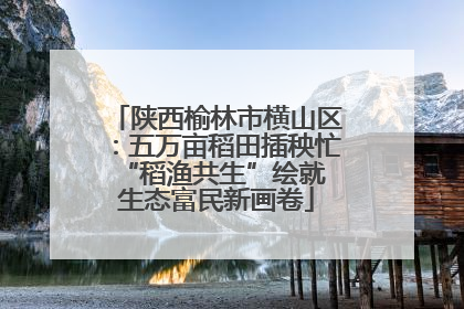 陕西榆林市横山区：五万亩稻田插秧忙 “稻渔共生”绘就生态富民新画卷