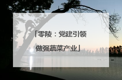 零陵：党建引领 做强蔬菜产业