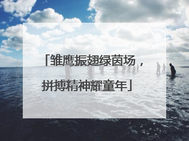 雏鹰振翅绿茵场，拼搏精神耀童年