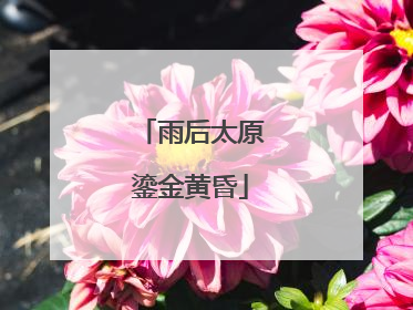 雨后太原鎏金黄昏