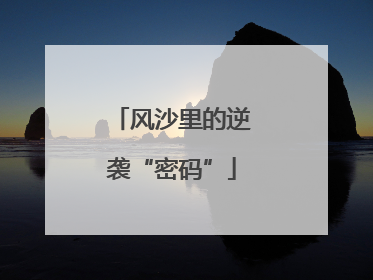 风沙里的逆袭“密码”